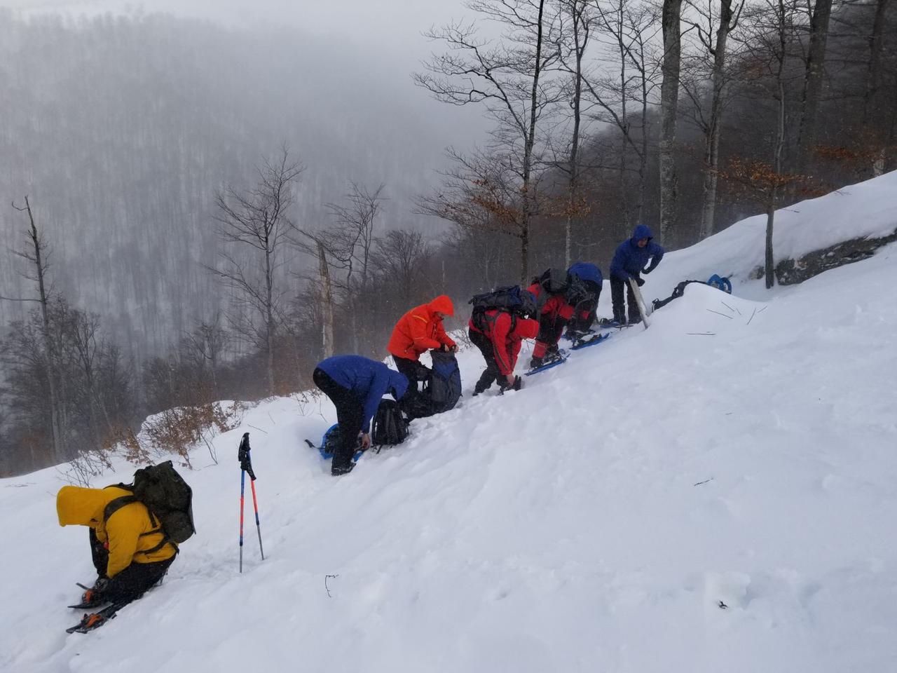 У Карпатах вже третій день шукають зниклого туриста