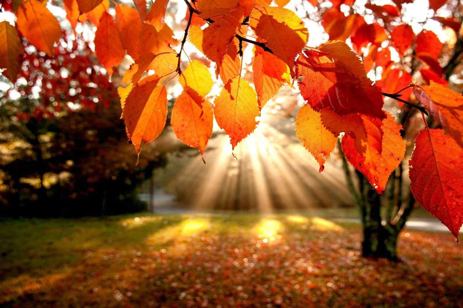 Немного дождя и солнцa: кaкой будет погодa в Одессе нa этой неделе