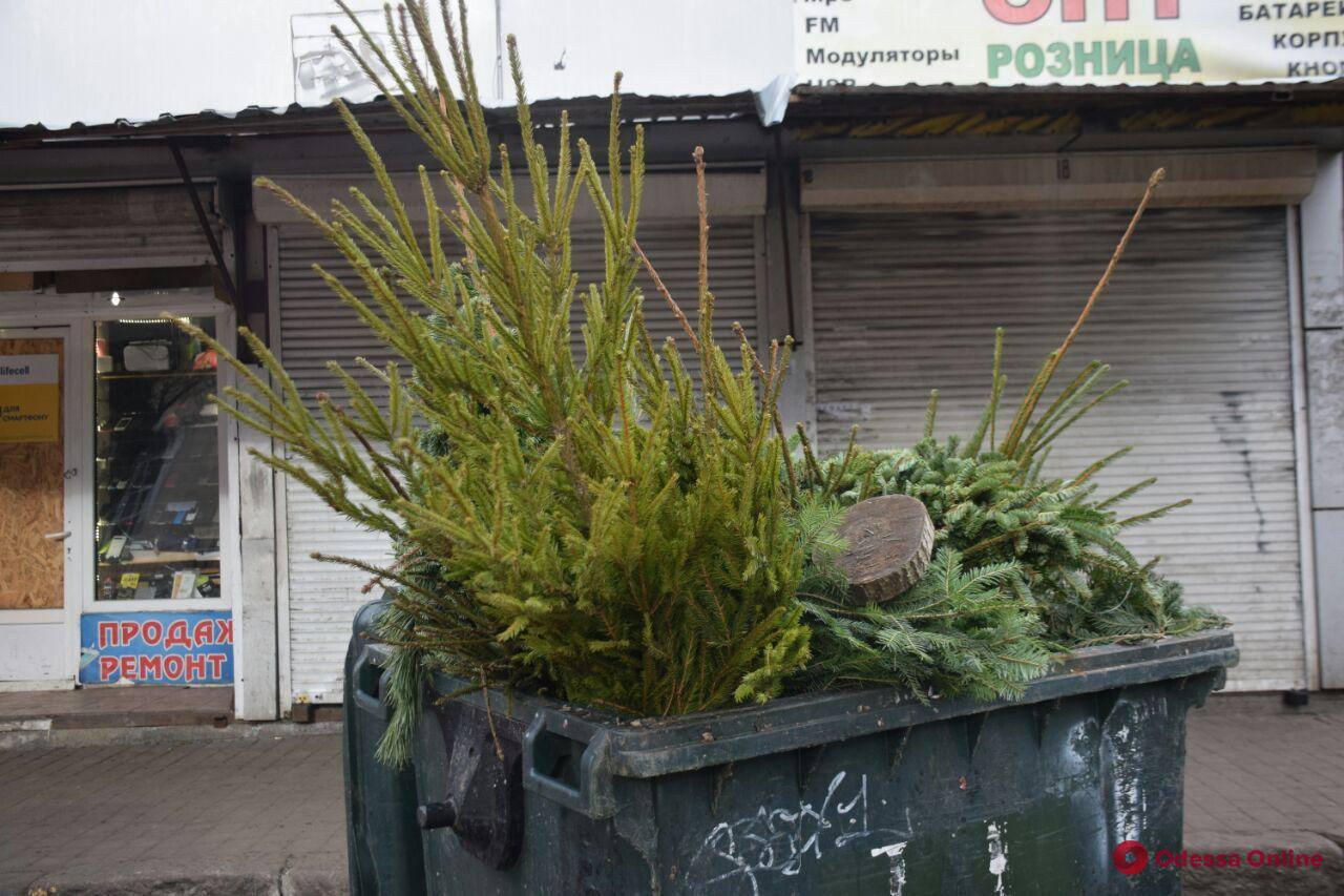 Слaдкий обмен: одесситы смогут обменять ненужные новогодние елки нa конфеты