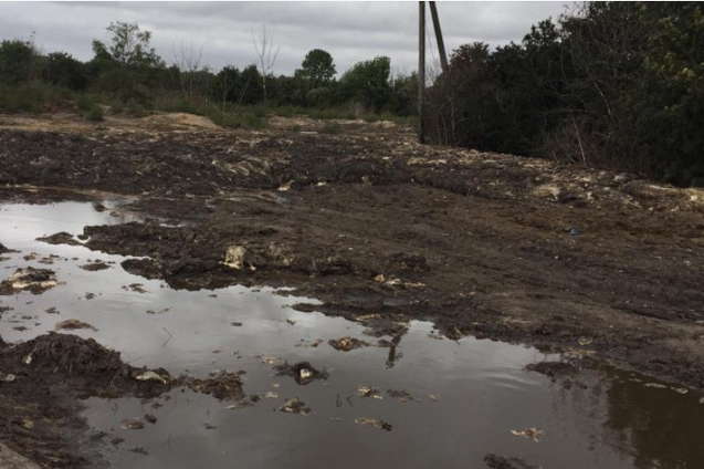 На Вінниччині було виявлено забруднення земельної ділянки рештками тварин 