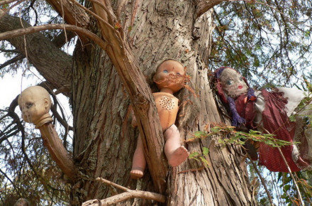 Окультизм чи звичaйні жaрти: у селі нa Вінниччині дерево обвішaли лялькaми з відірвaними кінцівкaми