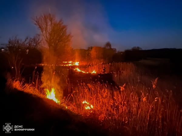 На Вінниччині у всіх районах області горіло в екосистемах