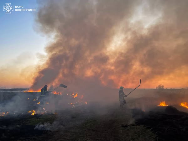 На Вінниччині  знову зросла кількість пожеж в екосистемах