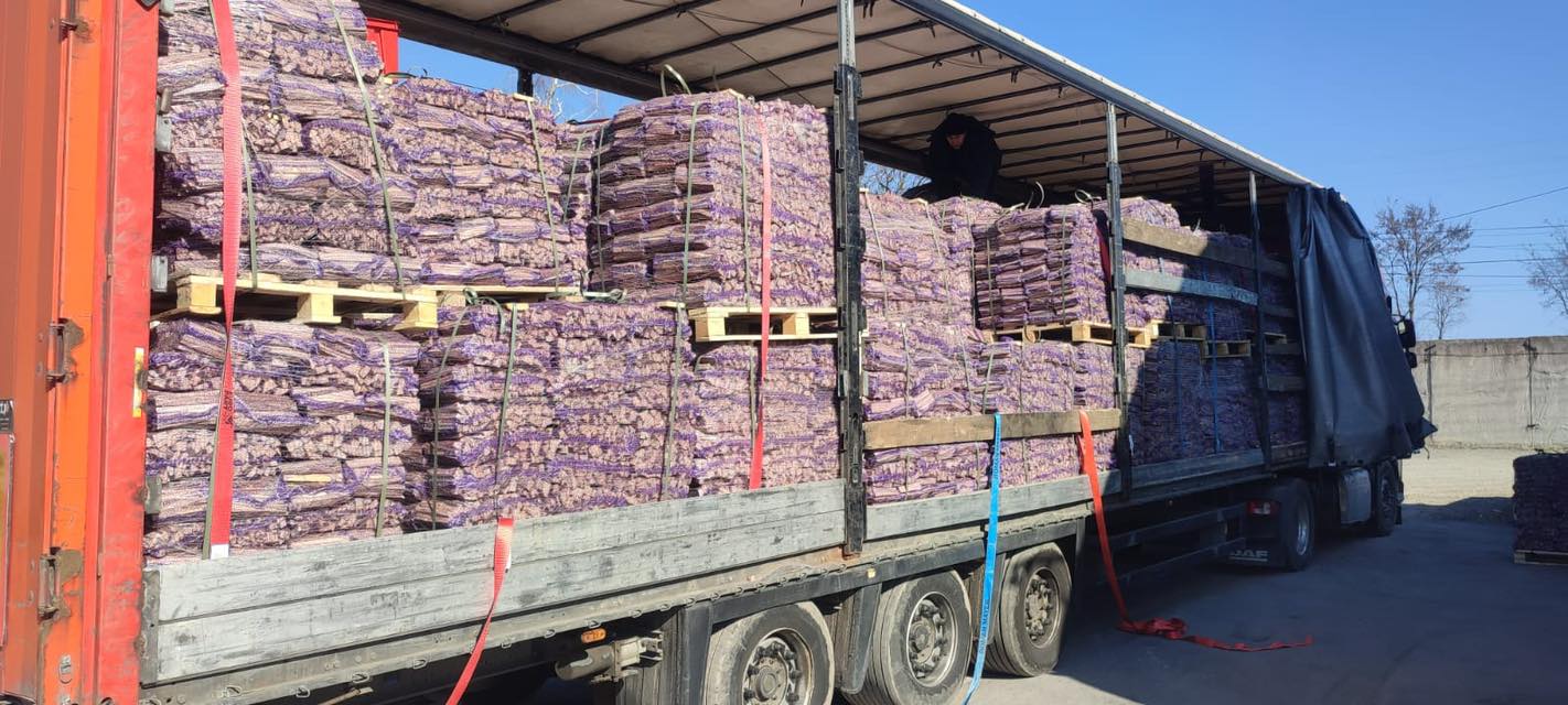 Вінницькі митники зупинили незаконний експорт лісоматеріалів