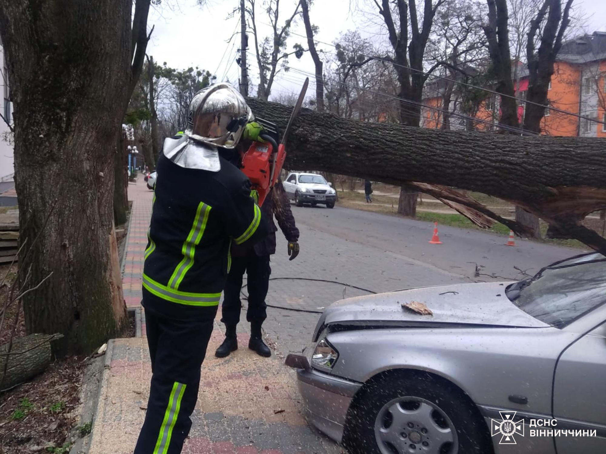 У Вінниці дерево впало на автівку