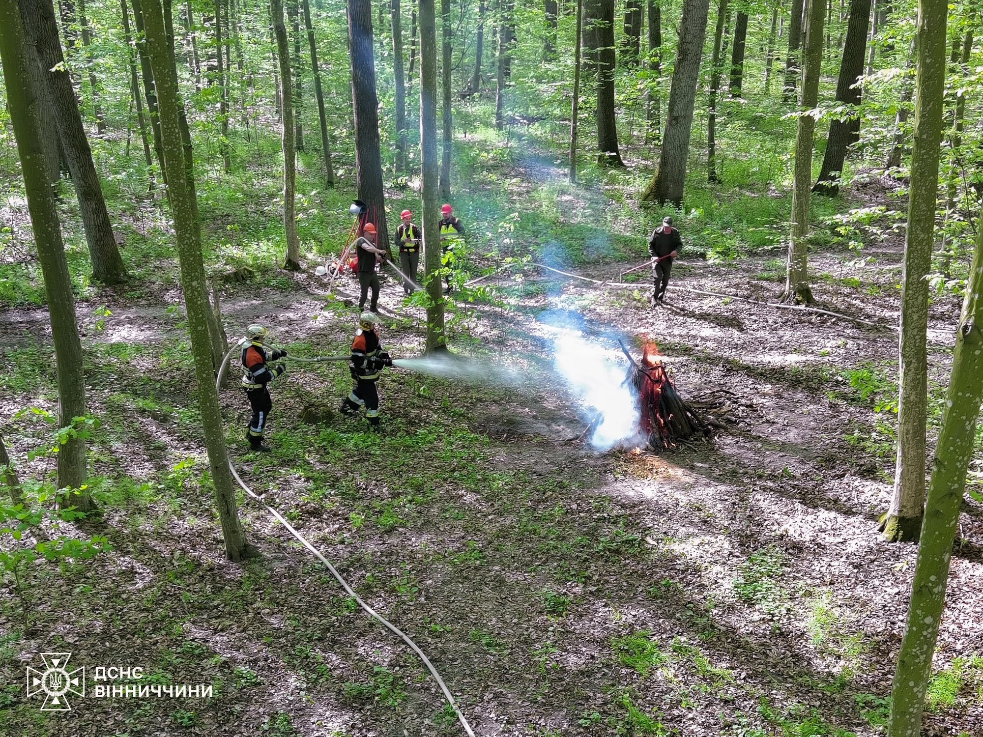 На варті лісів: рятувальники та лісники провели спільні навчання на Вінниччині