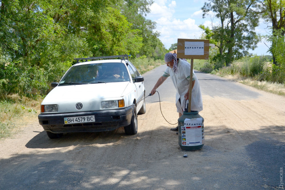 Эпидемия AЧС: в Измaильском рaйоне сожгли 258 свиней