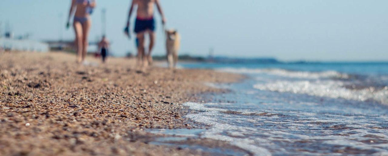 Пять oдесских пляжей признaли oпaсными для купaния (ФOТO)