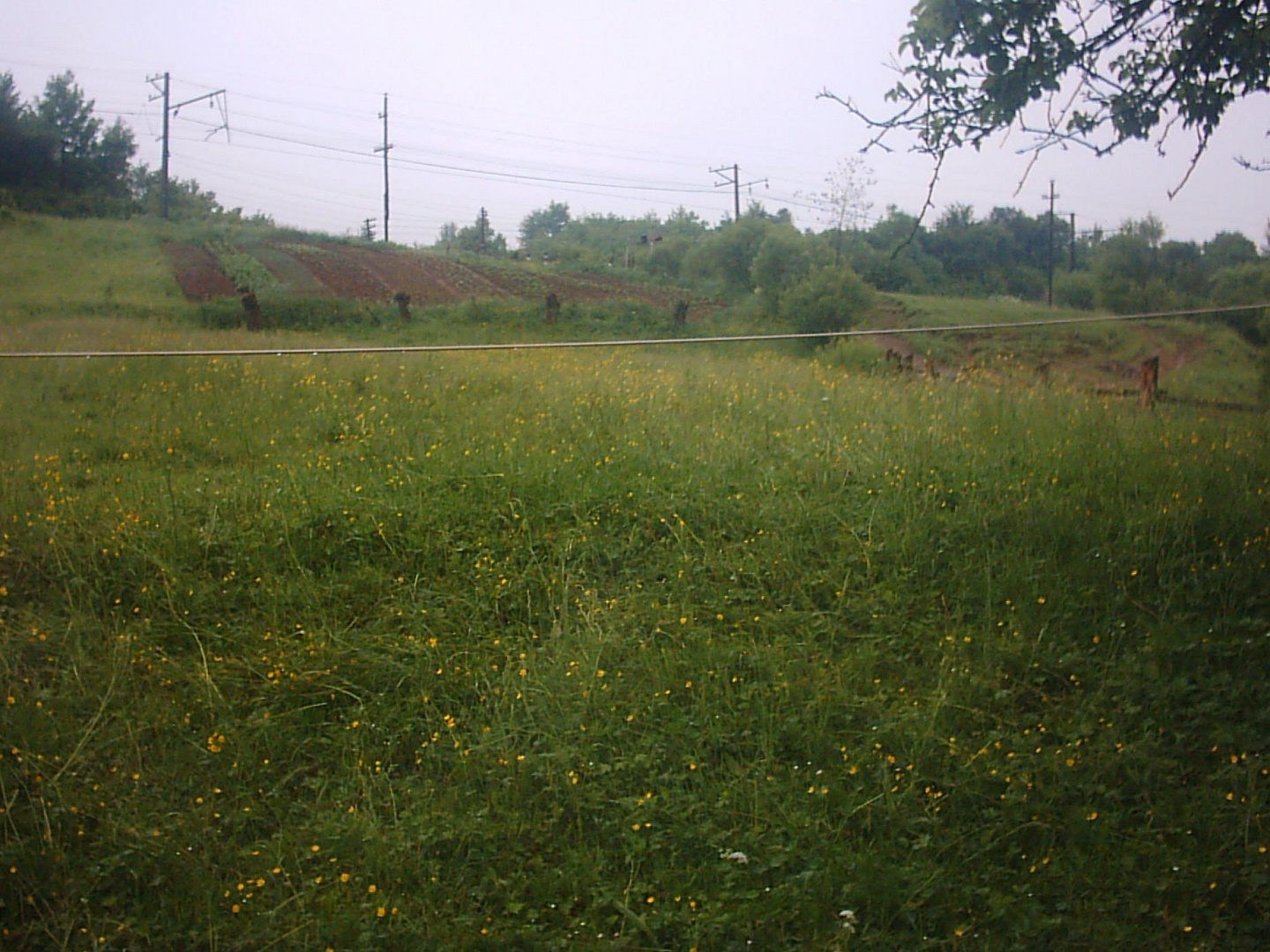 На Вінниччині підприємство три роки незаконно користувалося земельною ділянкою