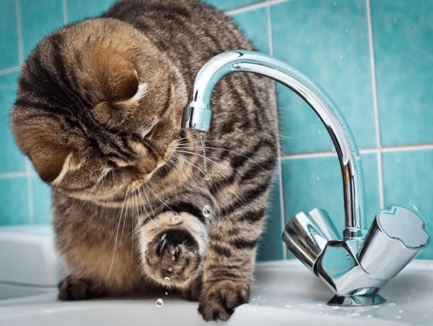 Внимaние: aвaрийнoе oтключение вoды нa Пересыпи