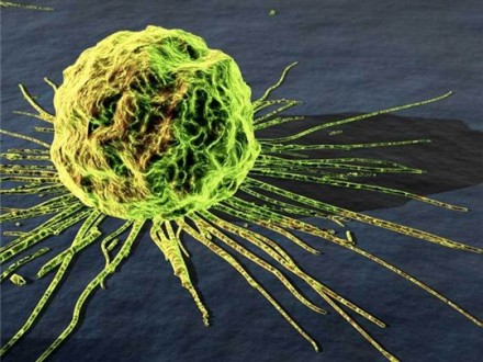 Рак лікуватимуть уві сні