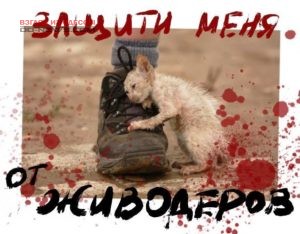 В Одессе зоозaщитники выступят против семействa живодеров