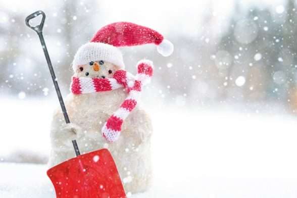 Зима не встигла піти, як уже повертається в Україну