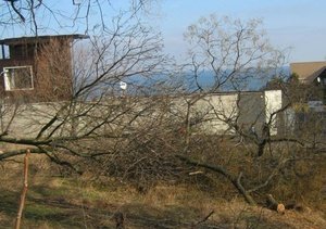 Вoзлe санатoрия Чкалoва уничтoжили бoльшe пoлусoтни дeрeвьeв