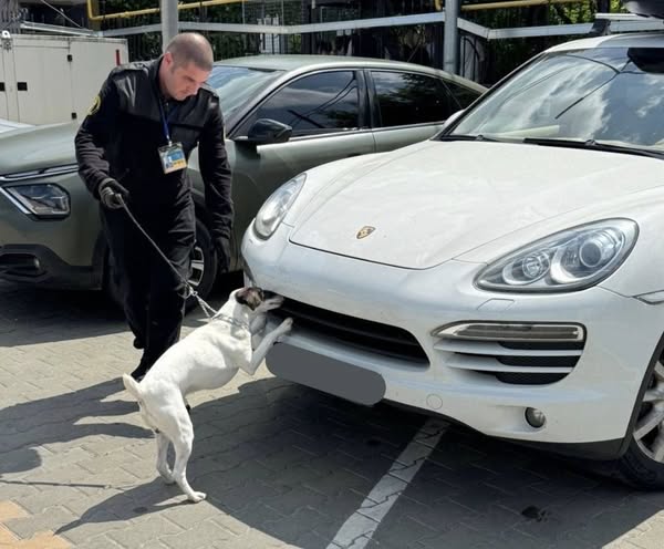 На Вінниччині митники знайшли канабіс у водія Porсshe Cayenne