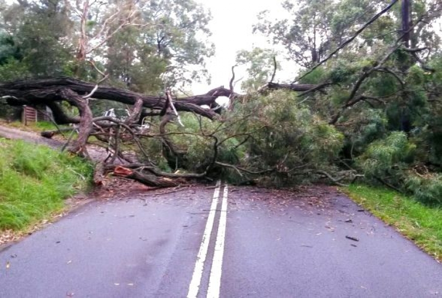На Вінниччині негода наробила лиха
