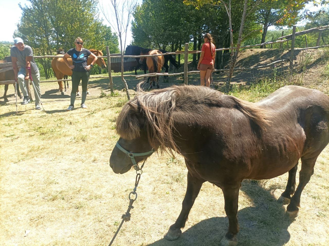 Новий мешканець «Кармелюкового Поділля»: до нацпарку приєднався поні на ім’я Магік