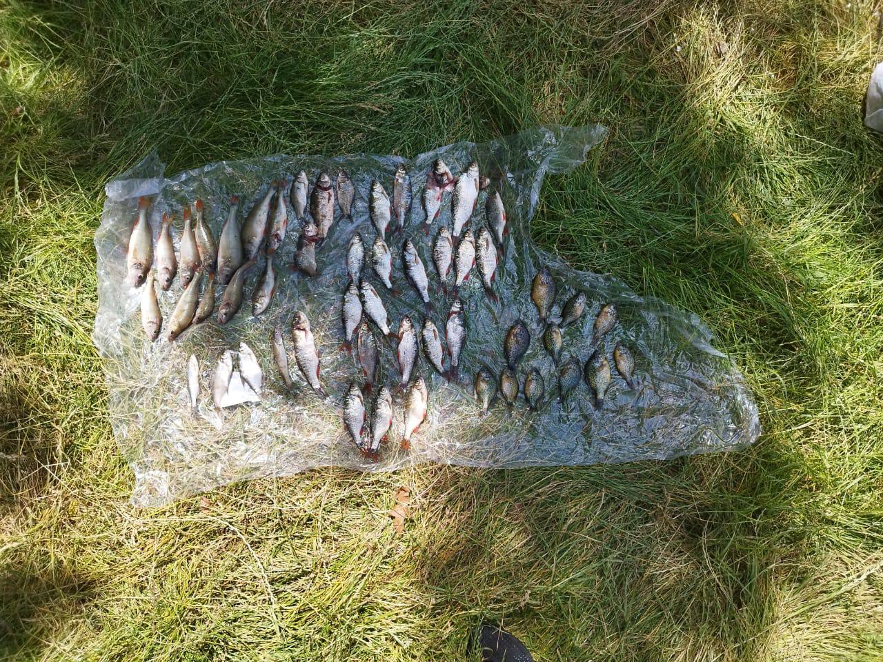 Нелегальний вилов на Південному Бузі: браконьєр завдав збитків на понад 84 тисячі гривень