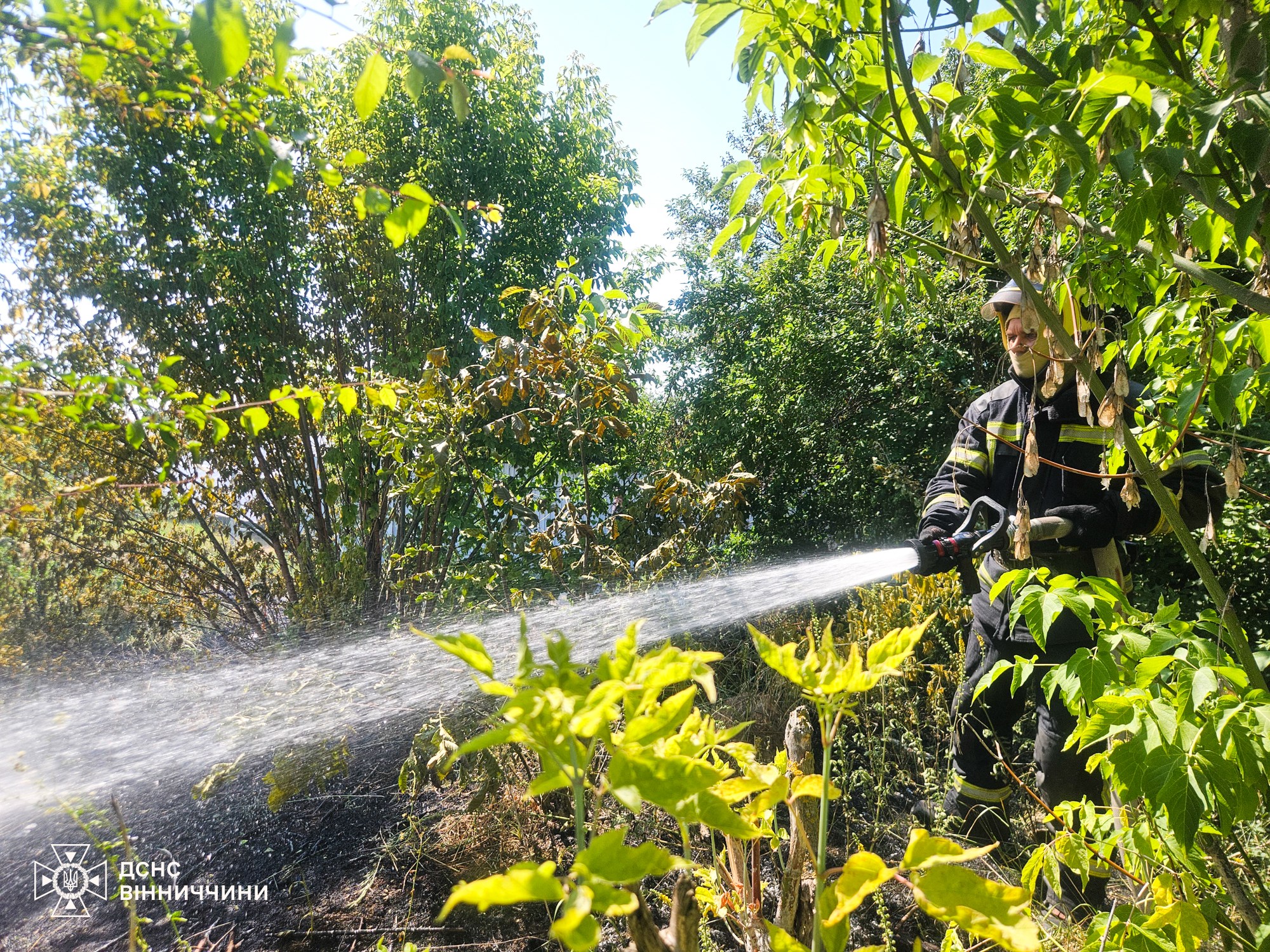 У Вінниці та області горіла суха трава - пожежники попереджають про небезпеку