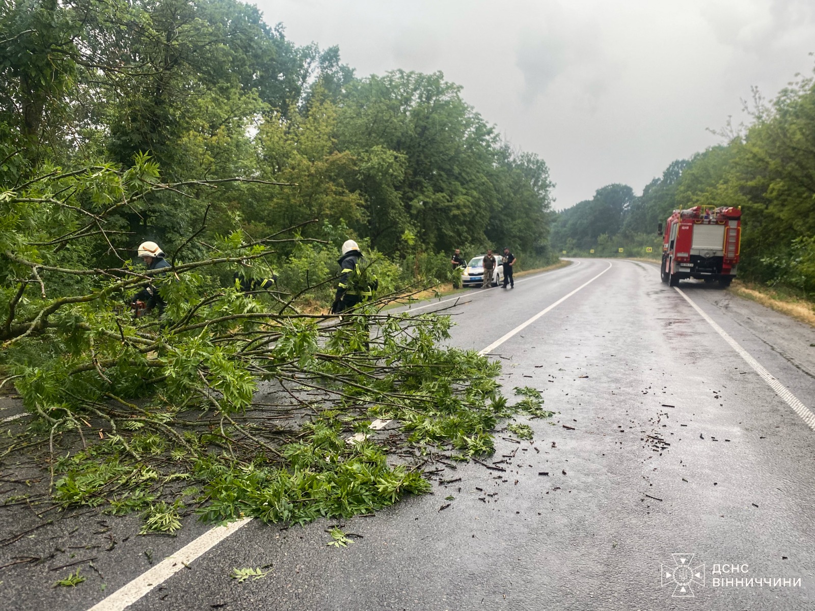 На Вінниччині рятувальники розчищали автошляхи