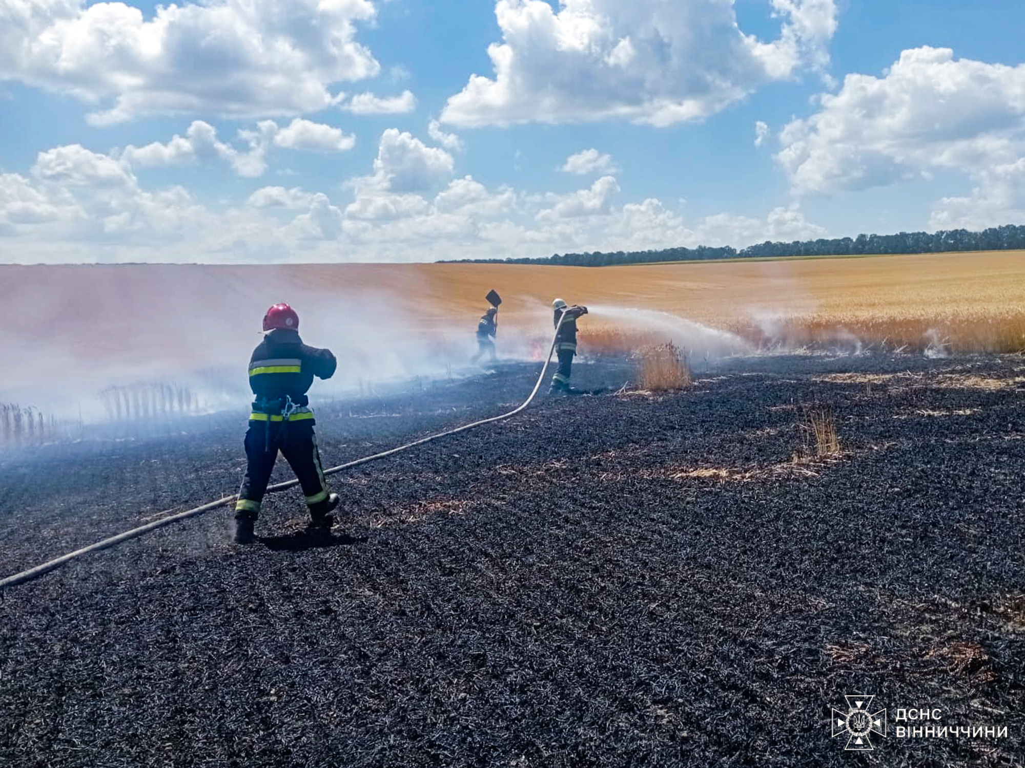 На Бершадщині вогонь знищив 2 гектари пшениці — вдалося врятувати ще 60