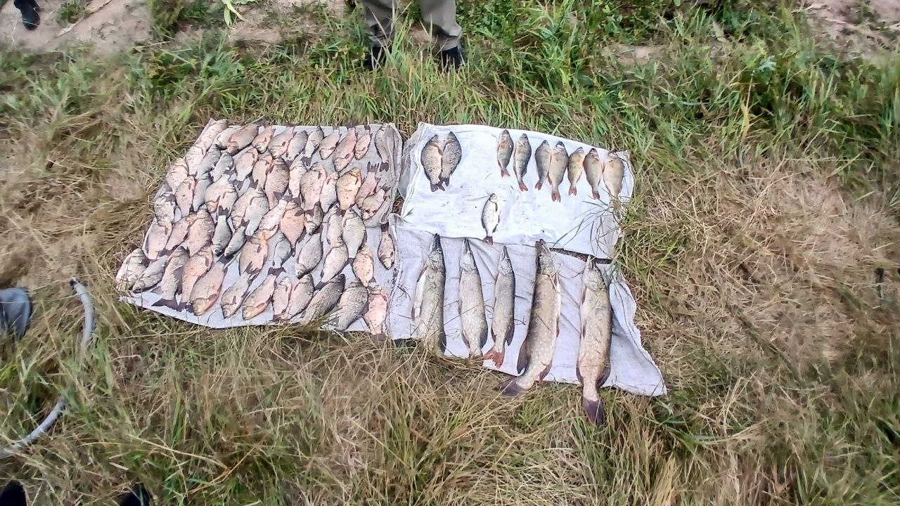  Наловили на 143 тисячі: на Вінниччині браконьєри завдали значних збитків рибному господарству