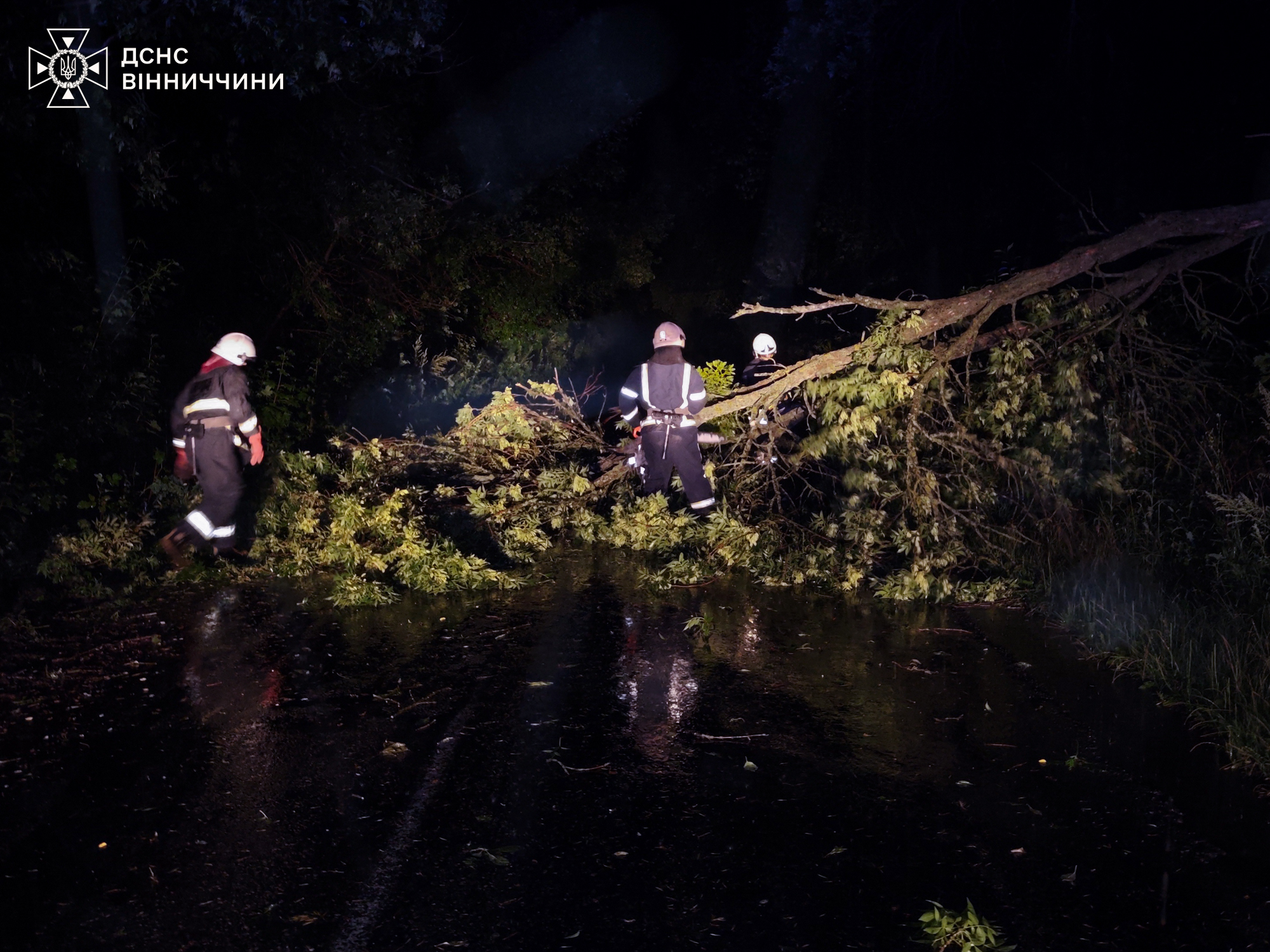 Вінницькі рятувальники працювали усю ніч – розчищали автошляхи(ВІДЕО)