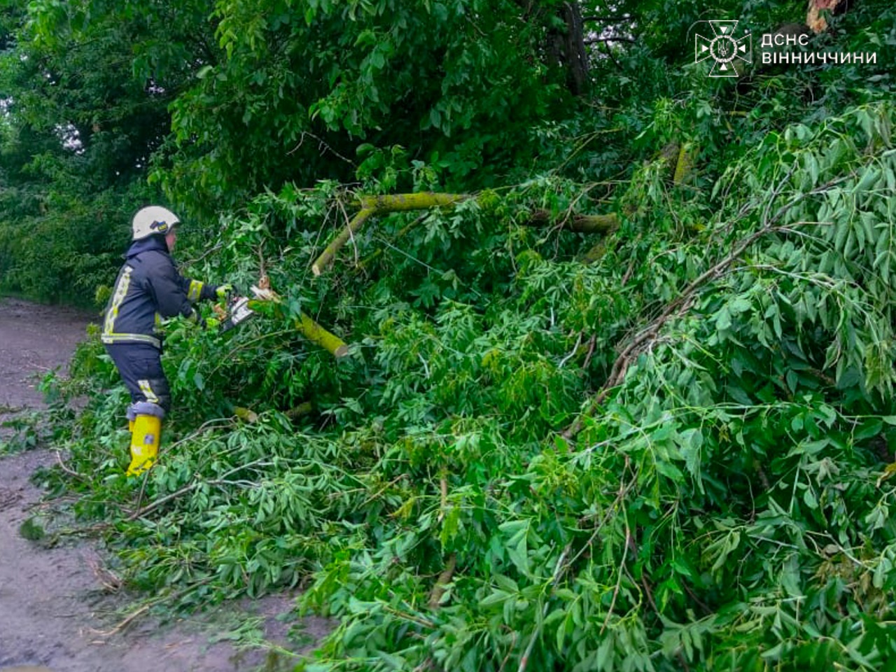 На Вінниччині продовжують ліквідовувати наслідки негоди