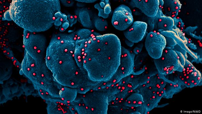 Перенесений Covid-19 може забезпечити "місяці імунітету"