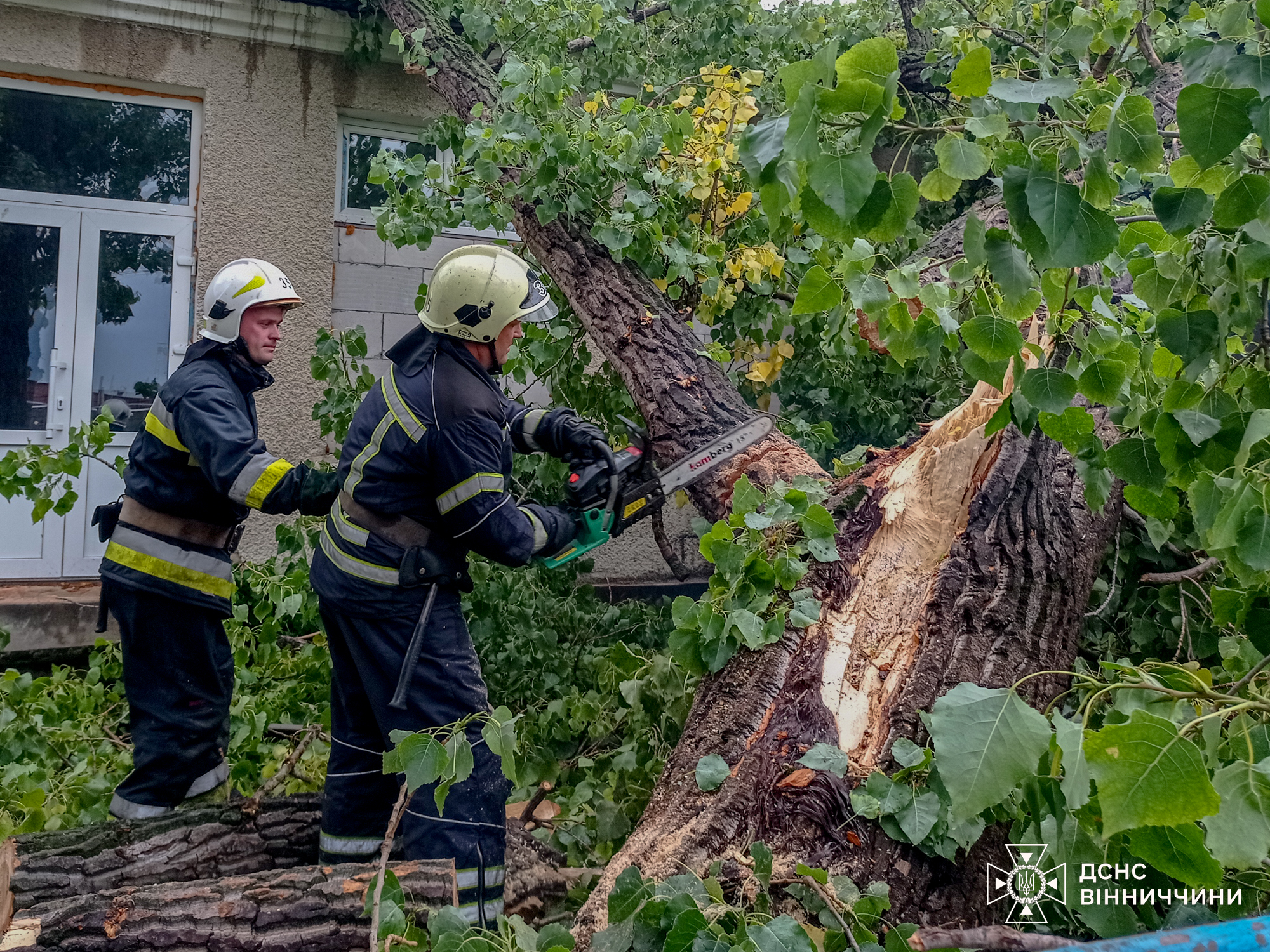 У Вінниці через негоду пошкоджено авто, гараж та житловий будинок