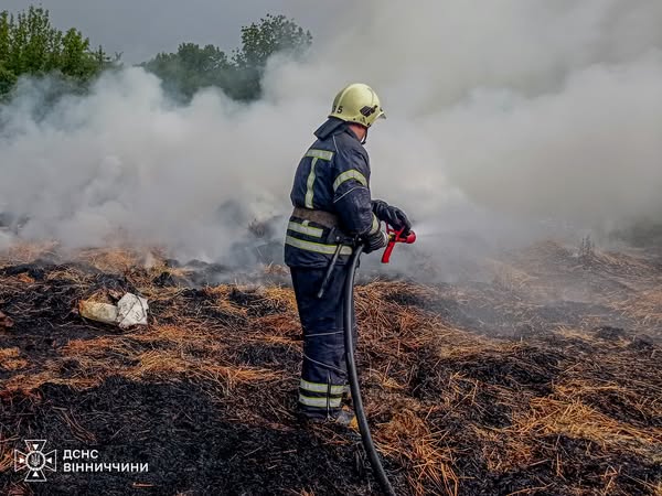 Шість виїздів за добу: на Вінниччині вогонь знищив понад 6 гектарів екосистем