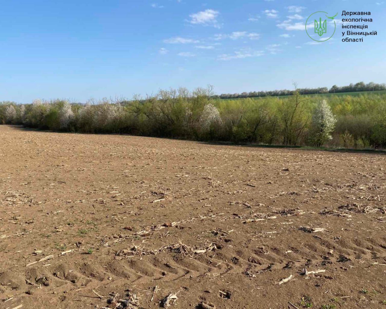 Екологи перевірили прибережні смуги Вінниччини і виявили серйозні порушення