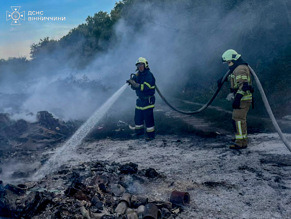 За добу на Вінниччині — 29 пожеж: вогонь охопив екосистеми та житловий сектор