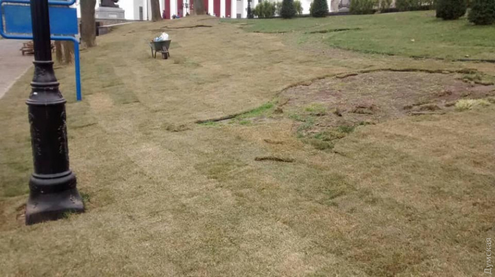 В Стaмбульском пaрке уклaдывaют новый гaзон: стaрый повредили любители сaнок  