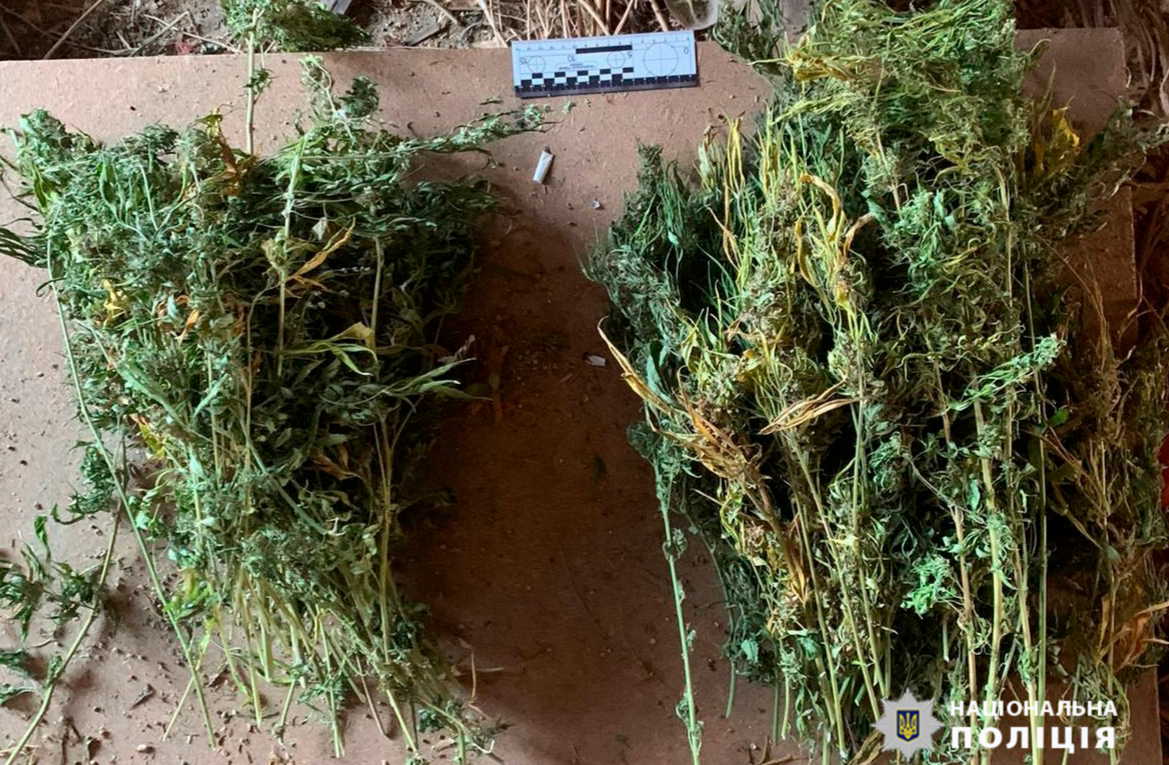 Поліцейські затримали раніше судимого вінничанина, який незаконно зберігав зброю та наркотики