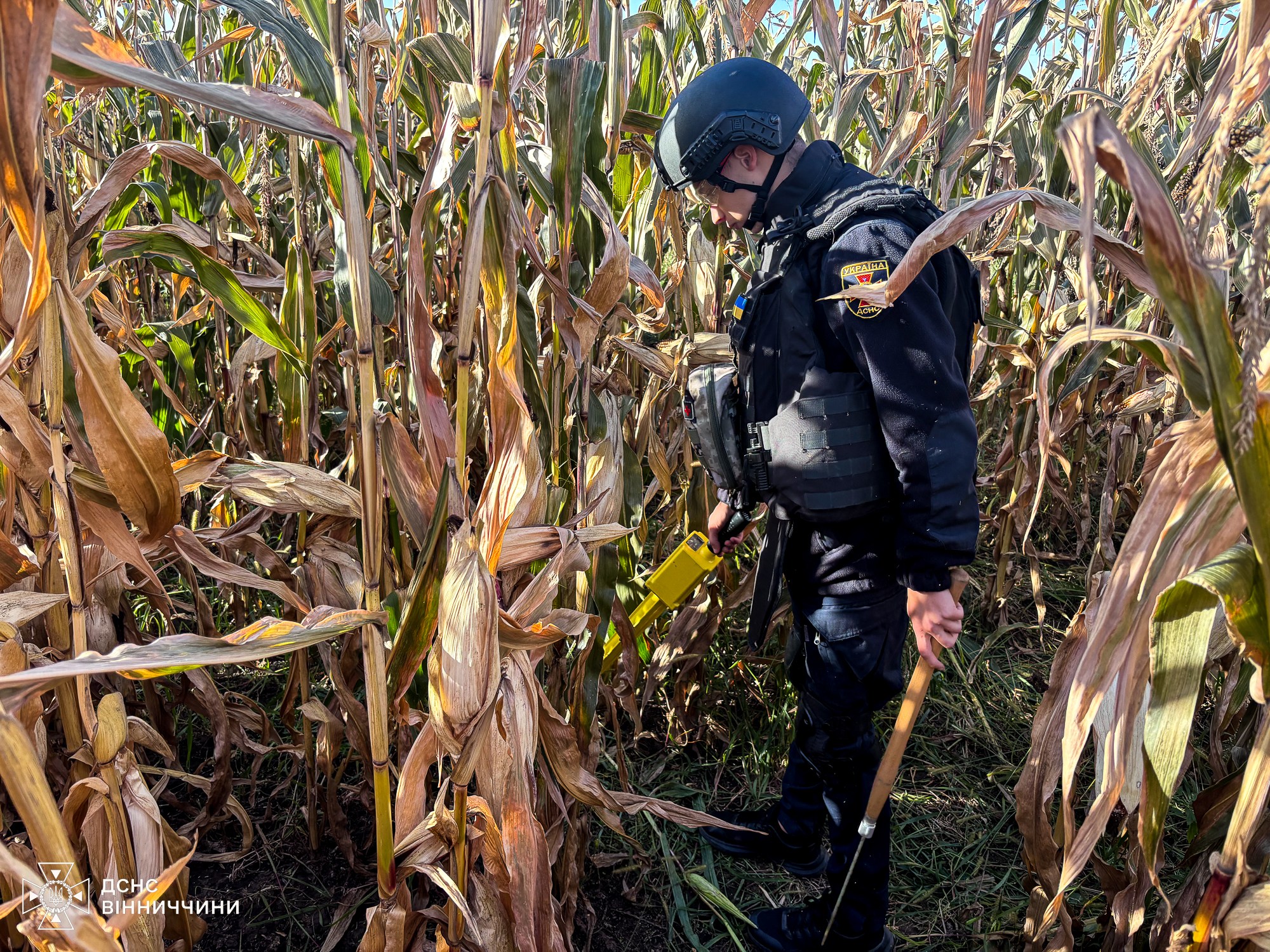 Нa Вінниччині в кукурудзяному полі знaйшли грaнaту