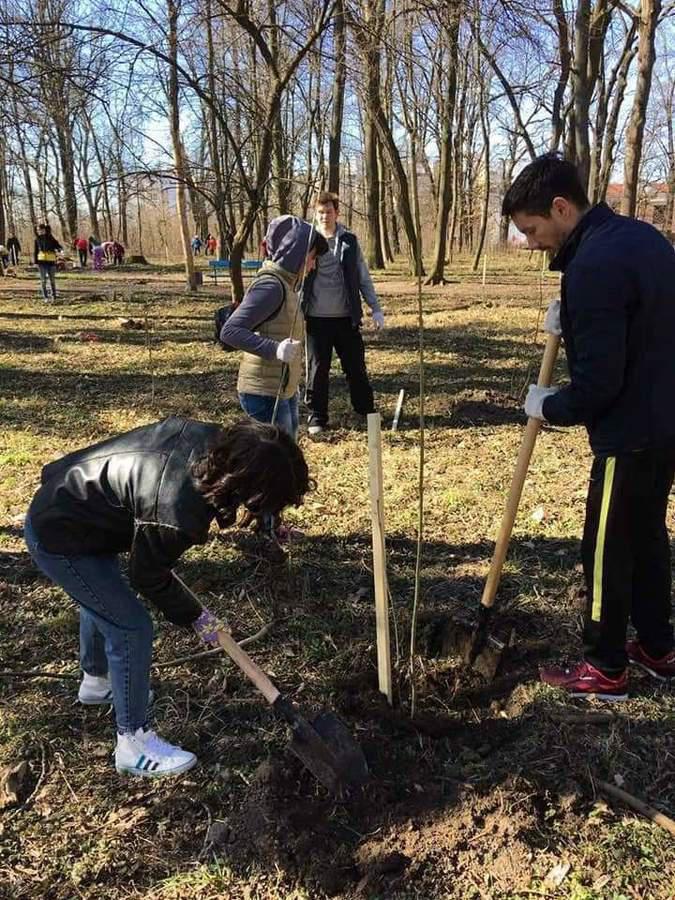 В одному з вінницьких парків посадили дерева