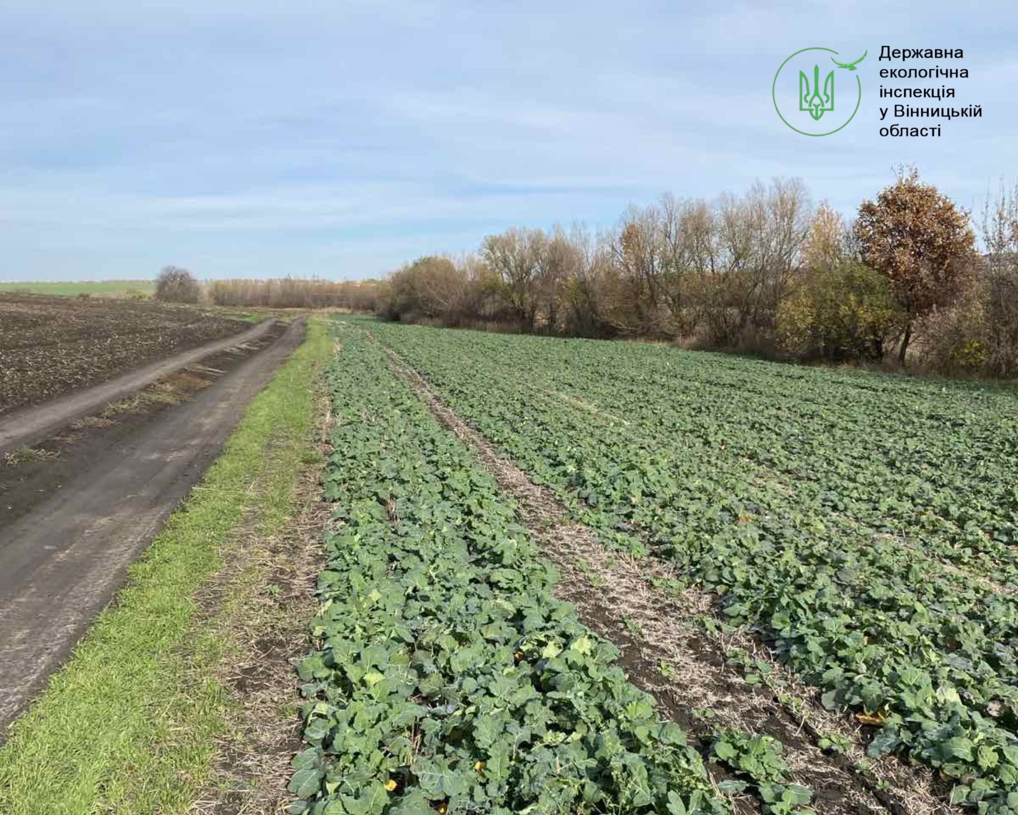 На Вінниччині виявили порушення природоохоронного законодавства під час перевірки сільради