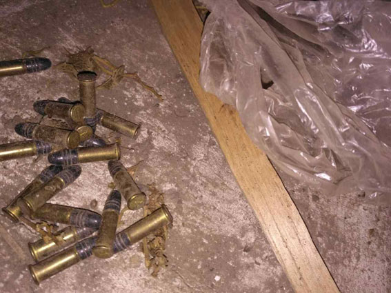 Дві рушниці та 66 патронів вилучили поліцейські у жителів Вінниччини