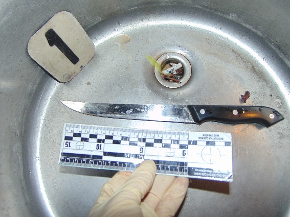 У Києві іноземець жорстоко зарізав знайомого (Відео)