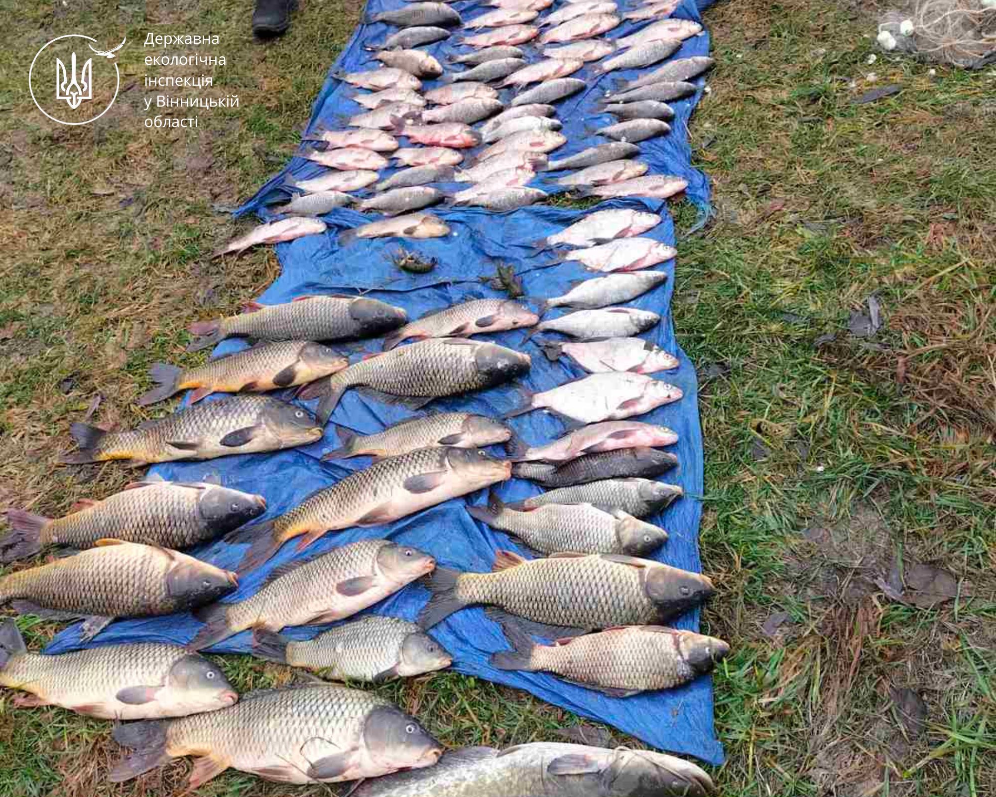 На Південному Бузі спіймали «нічного рибалку» - подробиці справи