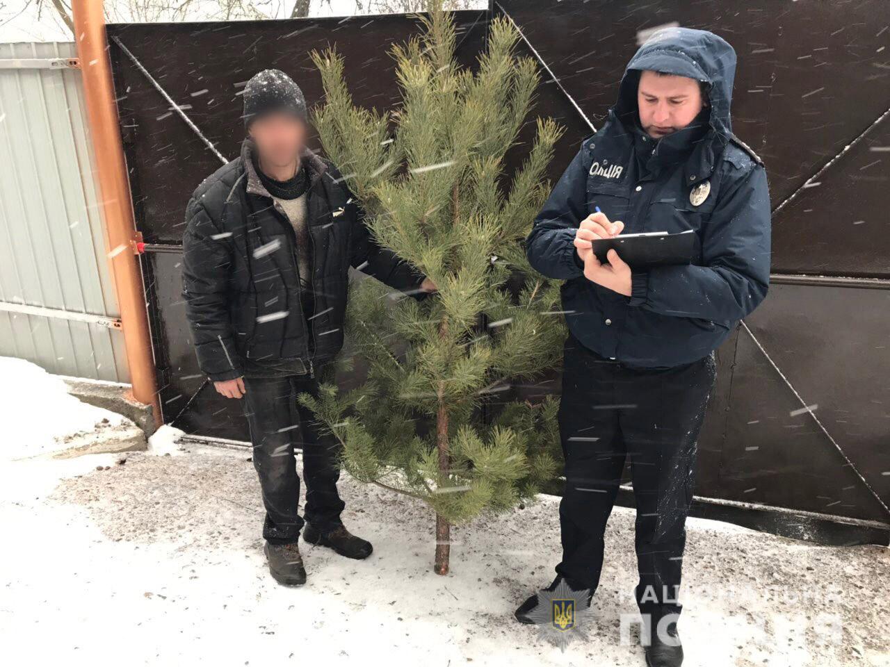 Поліцейські Харківщини протидіють незаконній торгівлі ялинками