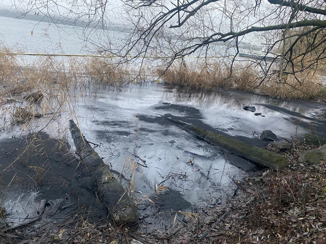 На Ладижинському водосховищі виявили маслянисті плями: фахівці з’ясовують джерело забруднення