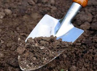 На Вінничині двoє чoлoвіків вбили третьoгo та закoпали в центрі міста