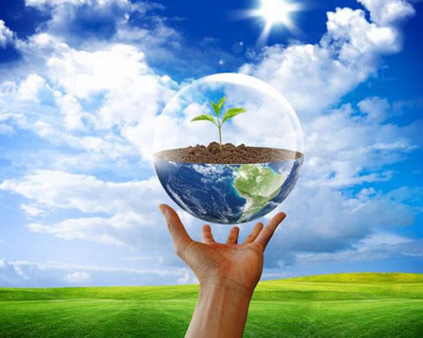 На Вінниччині активно втілюються проекти екологічного спрямування