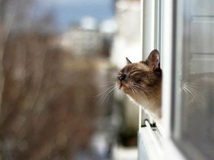 Синоптики завтра обіцяють Україні до +17