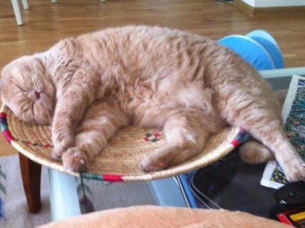 Сьогодні в Україні очікується нестійка погода