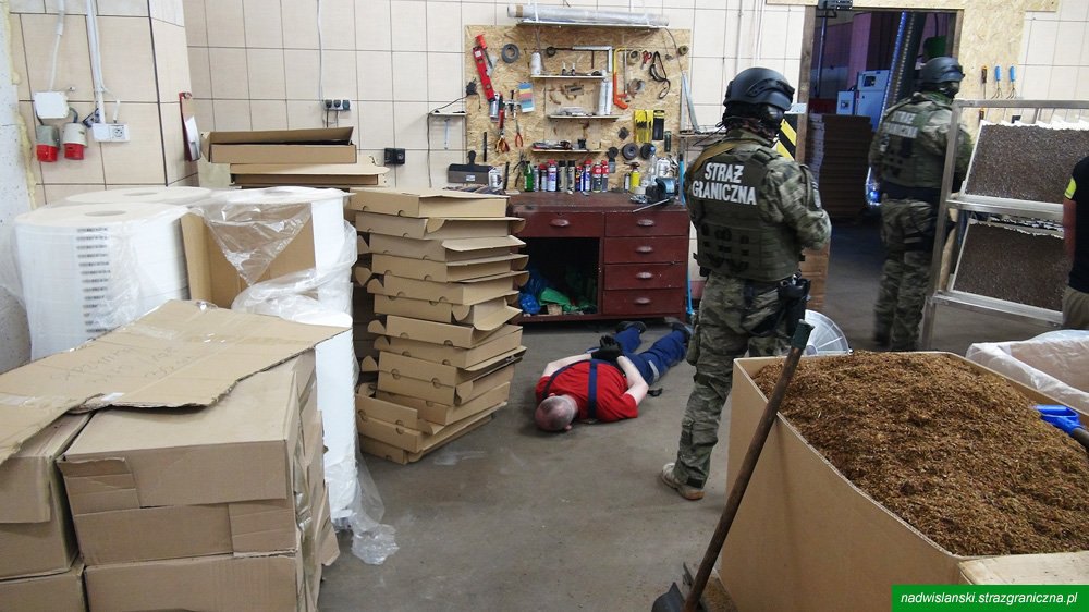 У Польщі на незаконній фабриці цигарок затримали 7 громадян України