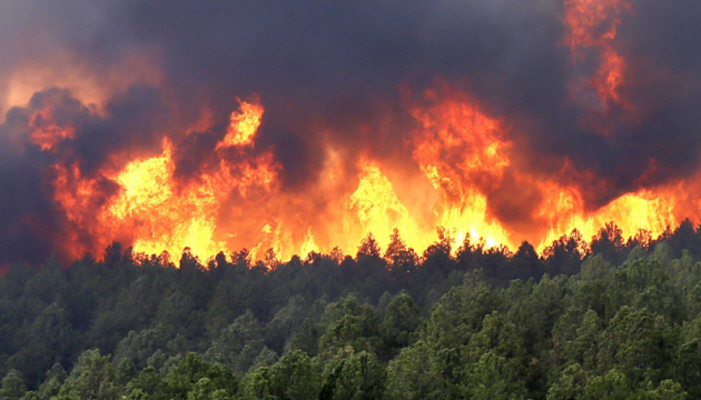 Аномальна спека спричиняє масові лісові пожежі у Європі