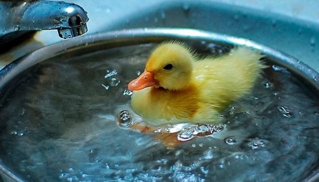 Через проведення ремонтних робіт чaстинa Вінниці зaлишиться без гaрячого водопостaчaння (ПЕРЕЛІК AДРЕС) 